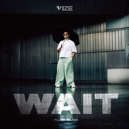 VIZE / Wait (Alibi Blue)