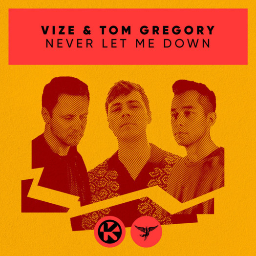 VIZE, Tom Gregory / Never Let Me Down